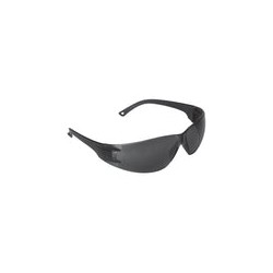 Lentes Seguridad Negros Pretul