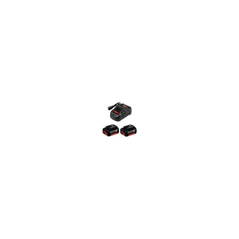 Cargador Rápido Y 2 Baterías 18v 1600a015td Bosch